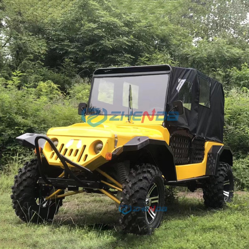 Off Road Vehicle Factory - Hot Selling 4WD Beach Buggy Go Kart