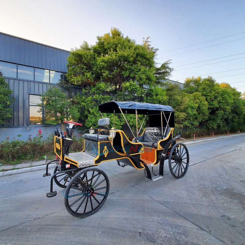 Electric Carriage Factory - Black 6 Seats CE Certified Stage Coach