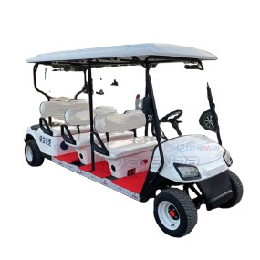 Golf Cart Factory - Customized Fashion Scenic Hotel Reception