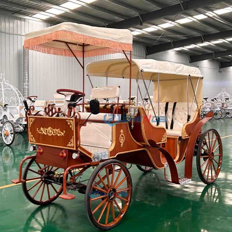 Wedding Carriage Manufacturer - Luxury Double Row Wood Grain Buggy