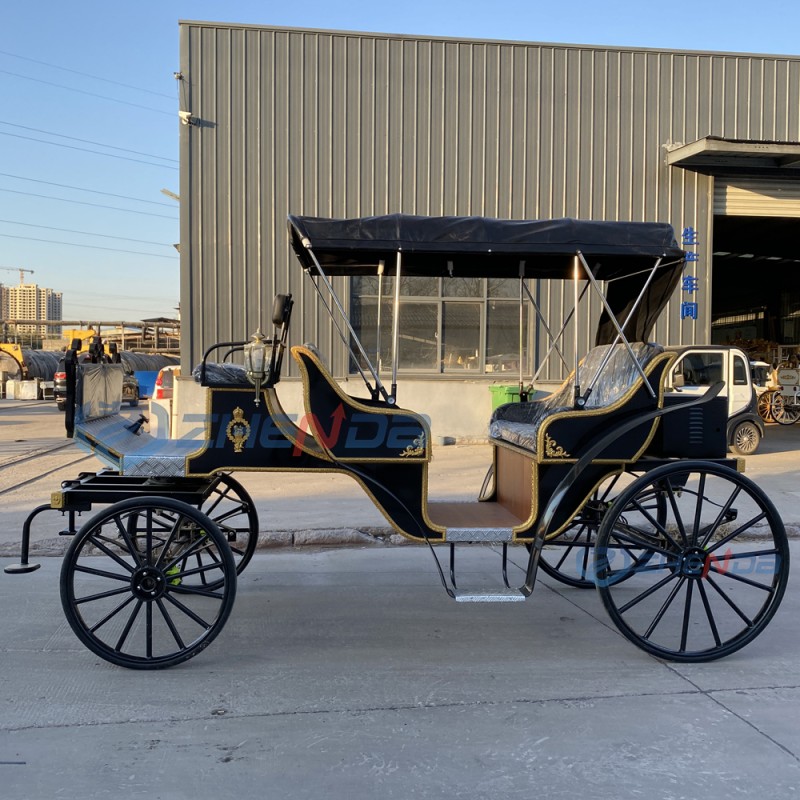 Electric Carriage Manufacturer - Black Four Wheel Sightseeing Vehicle