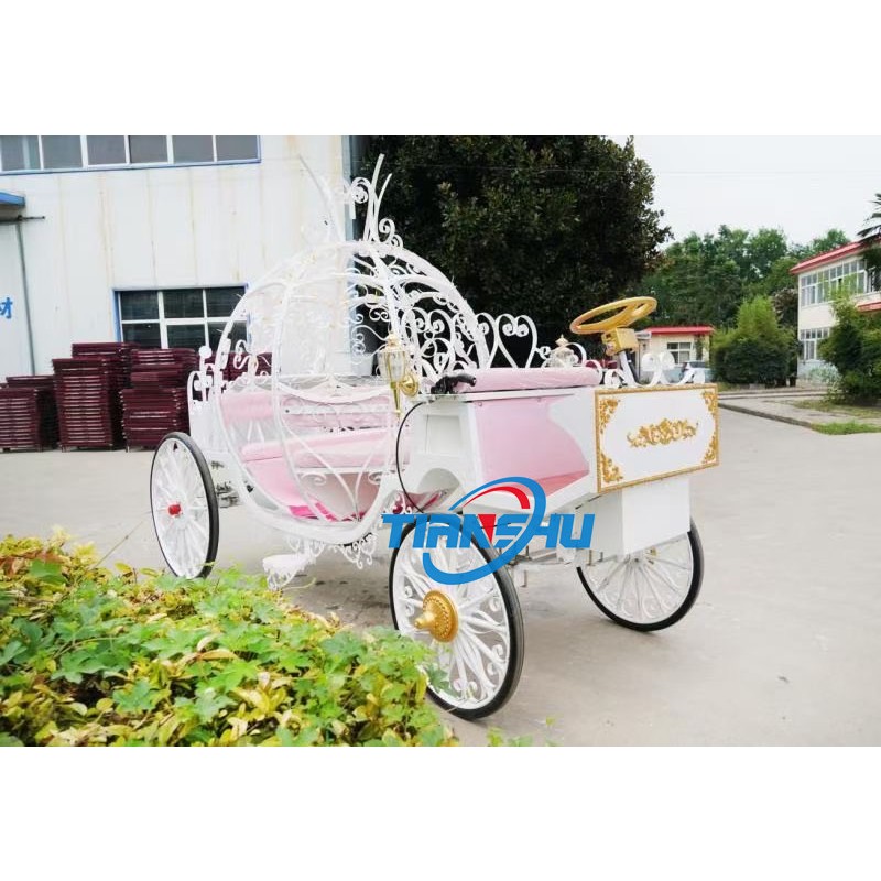 Wedding Carriage Manufacturer - Fantasy Princess Pumpkin Carriage