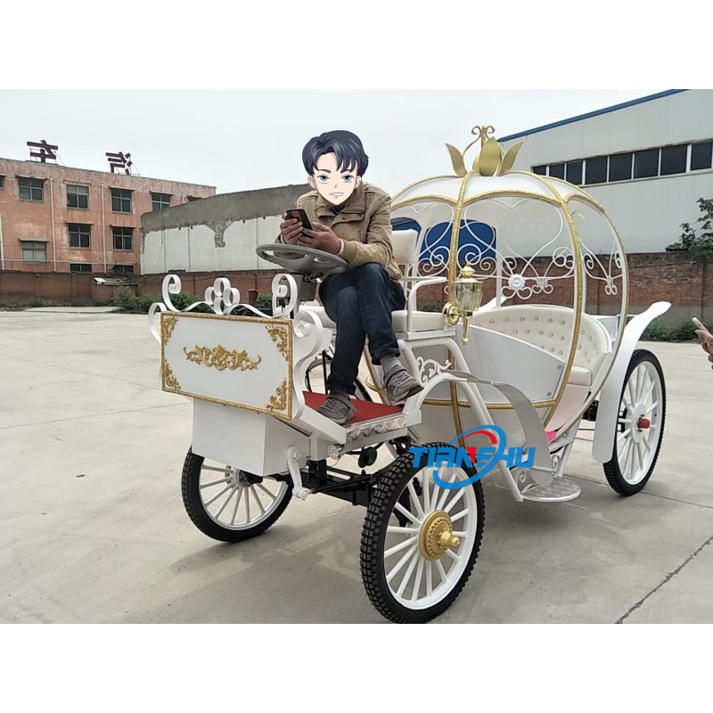 Pumpkin Carriage Factory - High Quality Royal Cinderella Carriage
