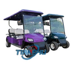 Electric Golf Cart Manufacturer - 2 4 6 Seater 72V Lithium Custom