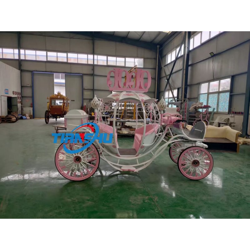 Pumpkin Carriage Factory - 6 Seats Electric Horseless Carriage