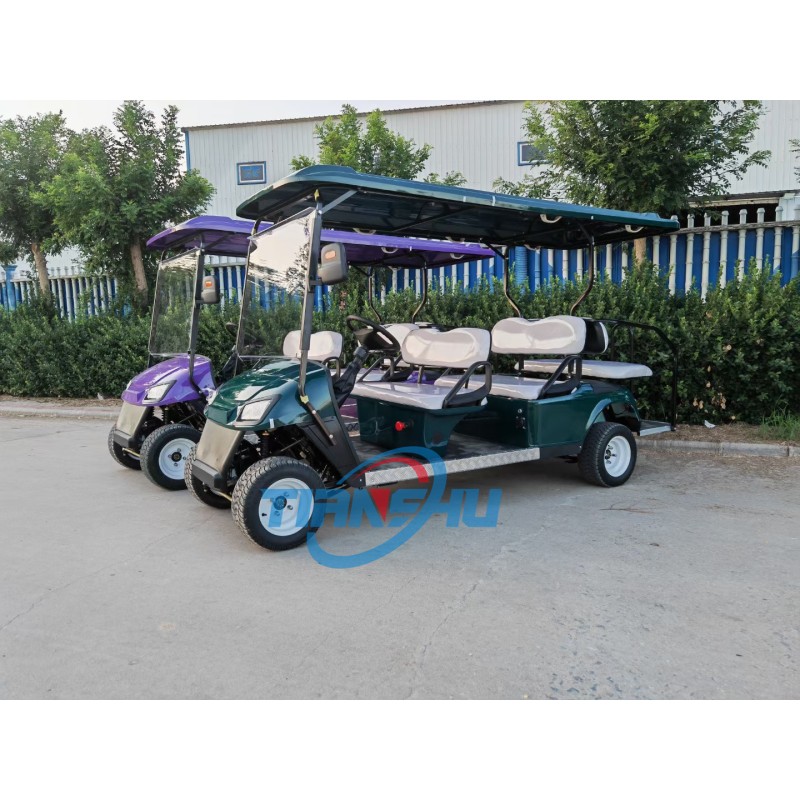 Golf Cart Factory - Small 2 Seater Electric Vehicle