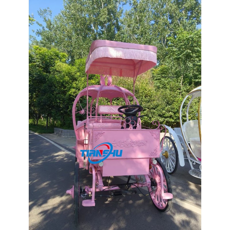 Wedding Carriage Manufacturer - Custom Color Electric Pumpkin Carriage