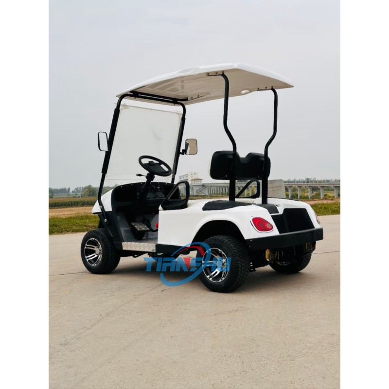 Golf Cart Factory - Street Legal Mini Buggy Car for Sale