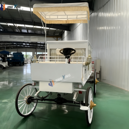 Funeral Carriage Manufacturer - Electric Coffin Horse Hearse