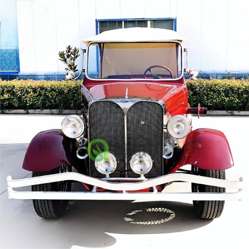 Electric Car Factory - 4 Seater Luxury Color Customized