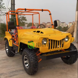 Off Road Car Factory - 200cc 250cc 300cc Mini Jeep