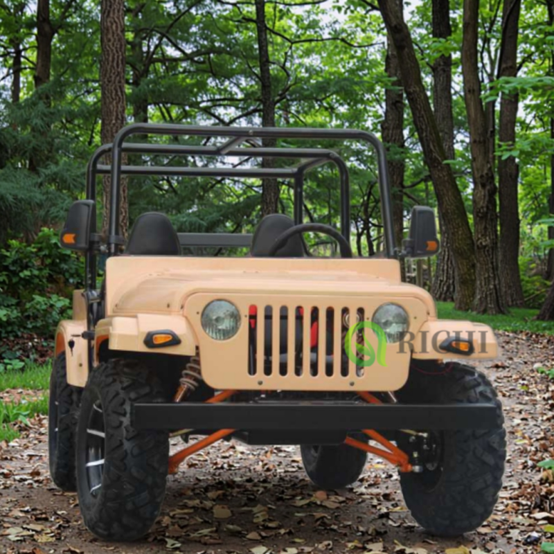 Electric Jeep Manufacturer - 250cc High Speed Adults Kids