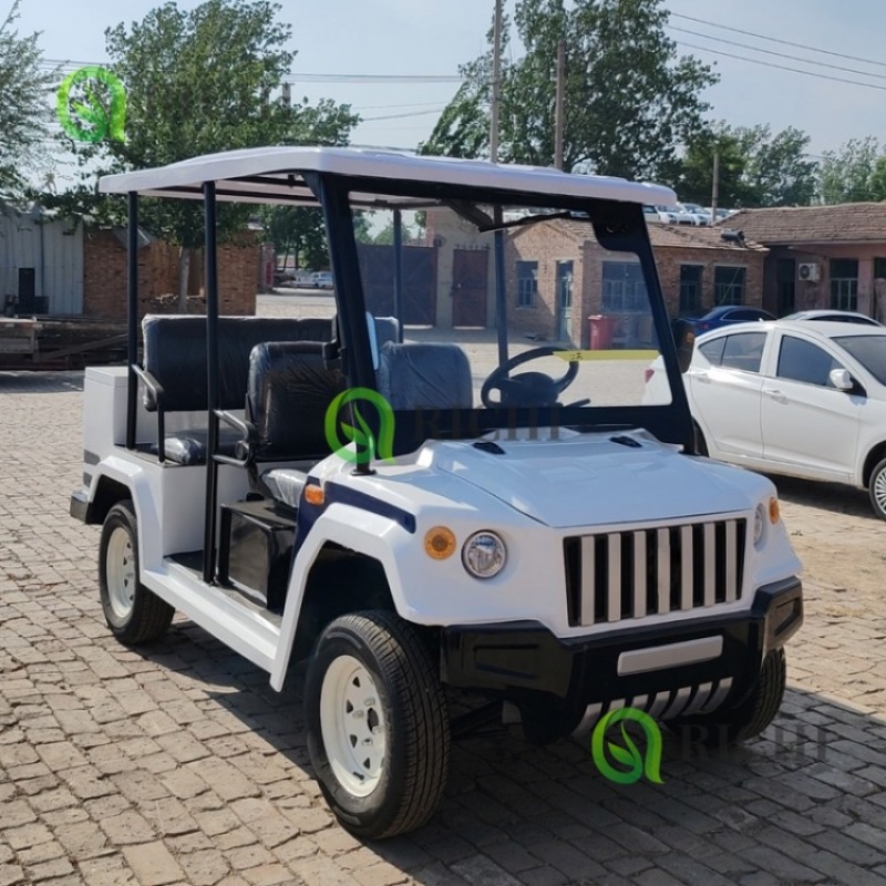 Mini Bus Manufacturer - Electric Sightseeing Luxury