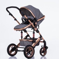 Baby Stroller Manufacturer - 2 in 1 Lightweight Multifunctional