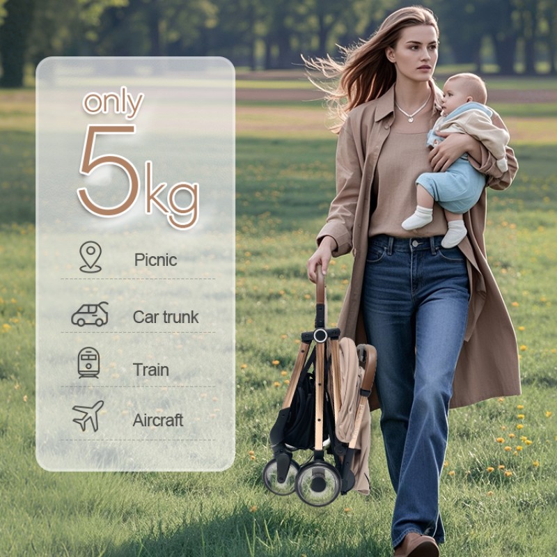 Baby Stroller Manufacturer - 2 in 1 Convenient Products