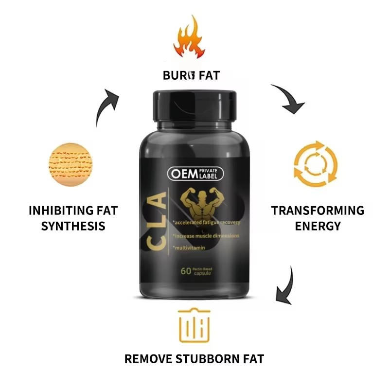 Private Label Supply  3000 CLA Capsules Sport Supplement CLA Softgel Capsule  Promote Energy Body Building Weight Gainer Capsule