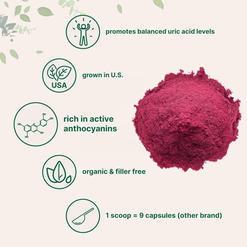 OEM Private Label Supply Vitamin C Organic Acerola Cherry Extract Powder Dried Acerola Cherry Powder Tart Cherry Powder
