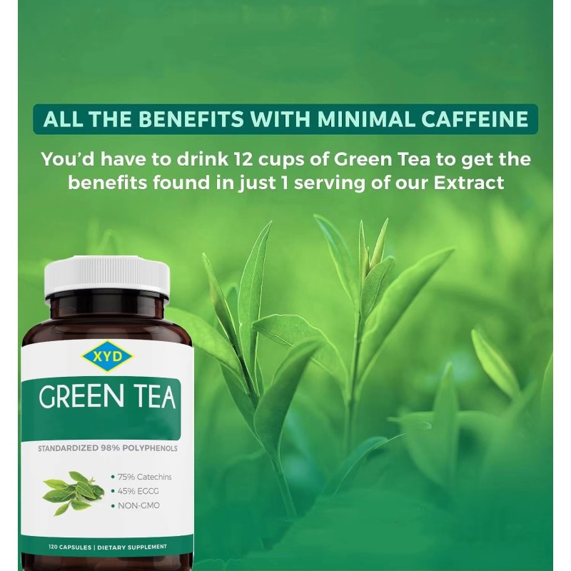 Private Label  Loss Weight Products Healthcare Capsules Dietary Supplement Product Green Tea Extract Capsules