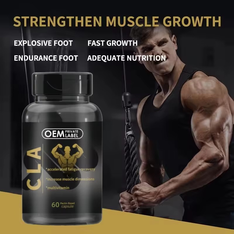 Private Label Supply  3000 CLA Capsules Sport Supplement CLA Softgel Capsule  Promote Energy Body Building Weight Gainer Capsule