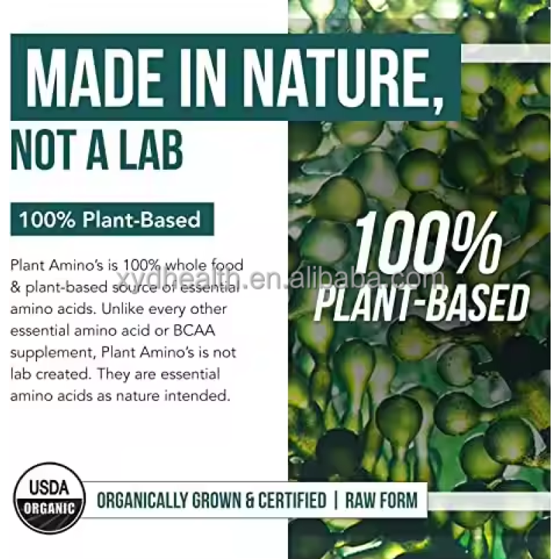 Hot Sell Supply  EAA Capsules Essential Amino Acids Capsules EAA Powder Healthcare Sports Supplement