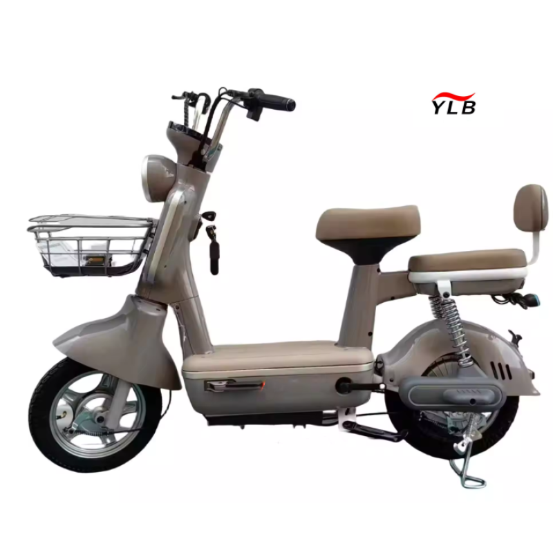 Electric Bike Manufacturer - Smart Hub Motor Integrated Battery
