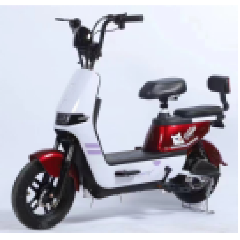 Electric City Bike Factory - Fast Long-Lasting Teenagers