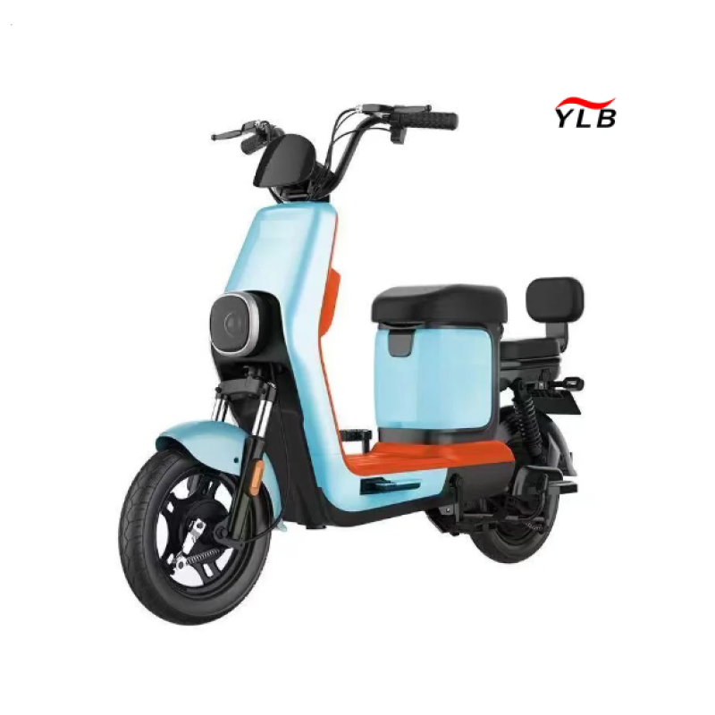 Electric Bike Manufacturer - 100W Folding Fat Tire Adult