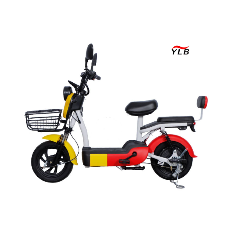 Electric City Bike Manufacturer - 48V Hub Motor Steel Frame