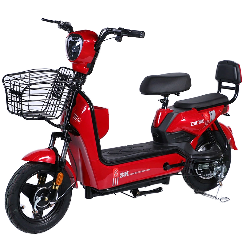 Electric Bicycle Manufacturer - Two Wheeled Adult Leisure