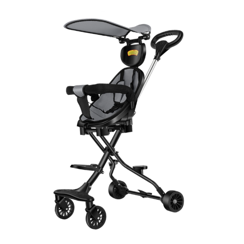 Electric Tricycle Manufacturer - 14 Inch 800W Removable