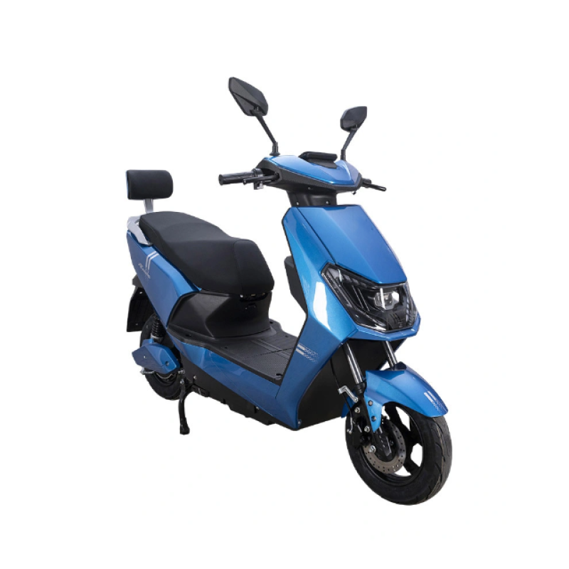 Electric Folding Bike Manufacturer - 350W 48V Cheap