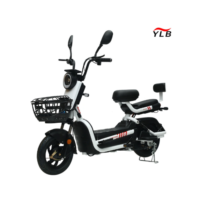 Electric Folding Bike Factory - 1000W Fat Tire Adult