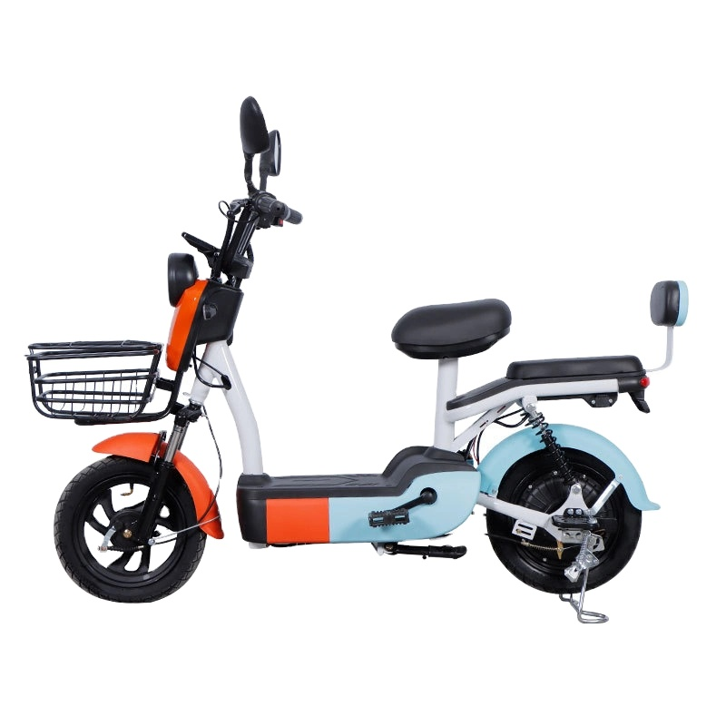 Electric Bicycle Manufacturer - 26 Inch Lithium Multi-Gear