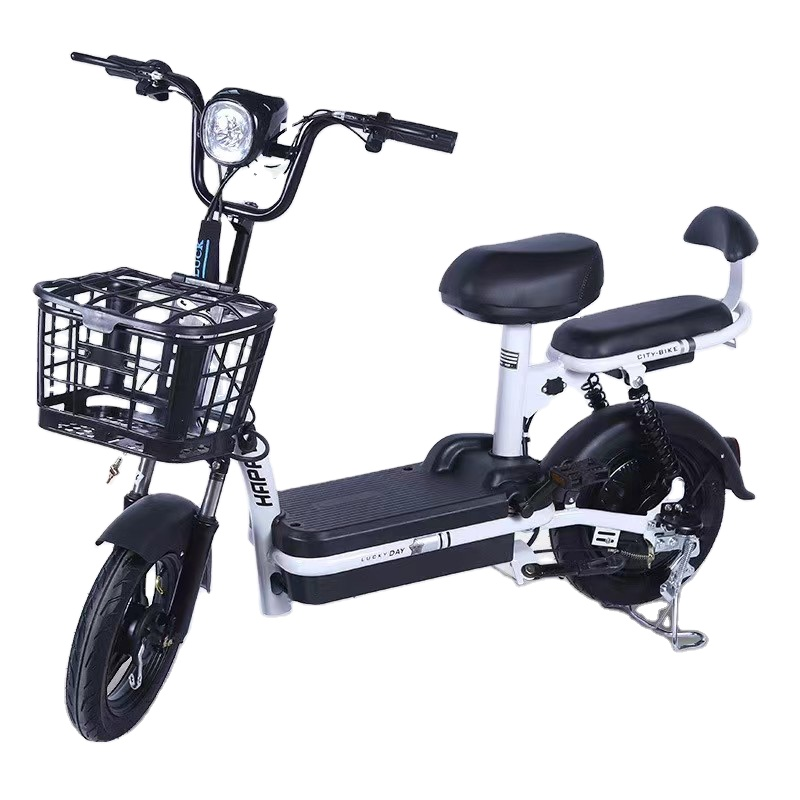 Electric Bike Manufacturer - 20 Inch Four Speed