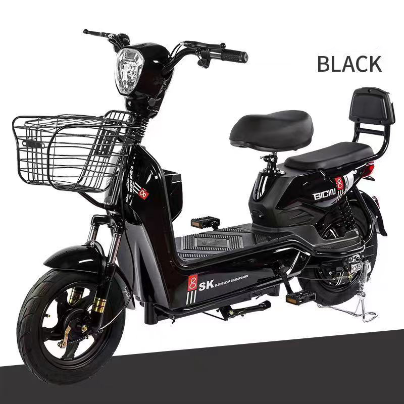 Electric Bike Manufacturer - 350W 2 Seats Big Basket