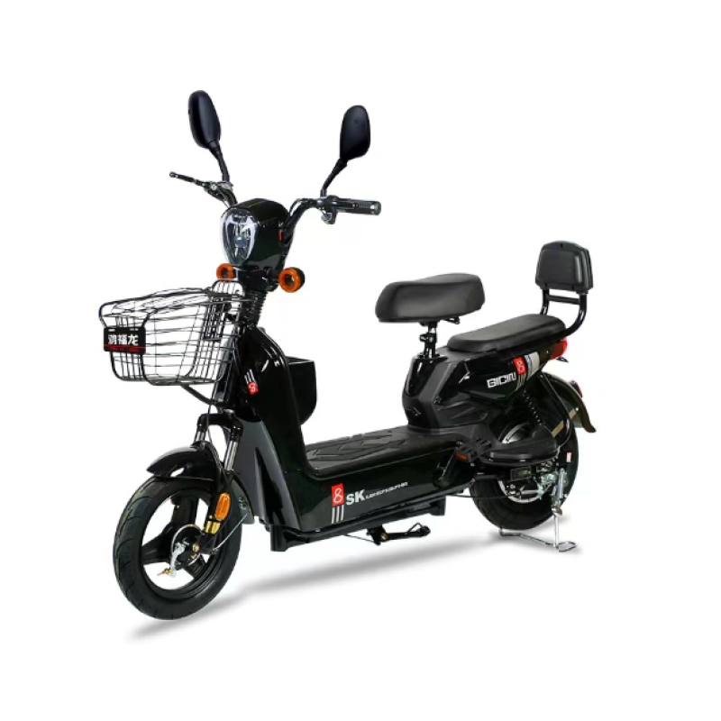 Electric City Bike Manufacturer - 48V Electronic Brake System