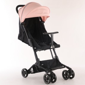 Baby Push Car Factory - Foldable 2-seat Travel Cart