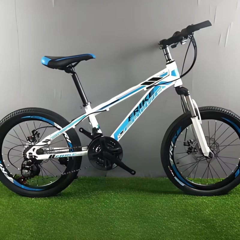 Electric Mountain Bike Manufacturer - 26 Inch Fat Tyre
