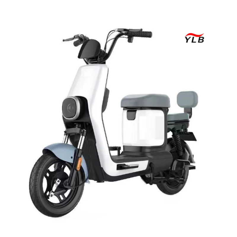Electric Bike Manufacturer - 100W Folding Fat Tire Adult