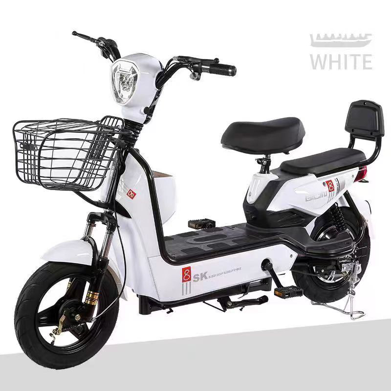 Electric Bike Manufacturer - 350W 2 Seats Big Basket