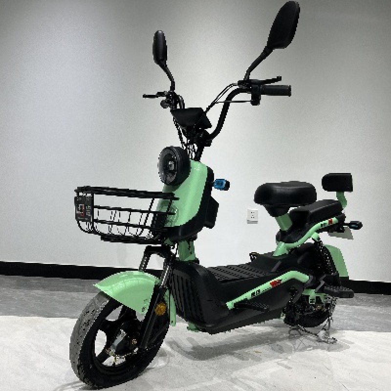 Electric Tricycle Factory - Closed Cargo Shed Load