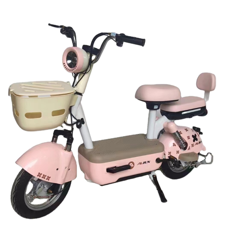 Electric Scooter Factory - 48V China Made Adult