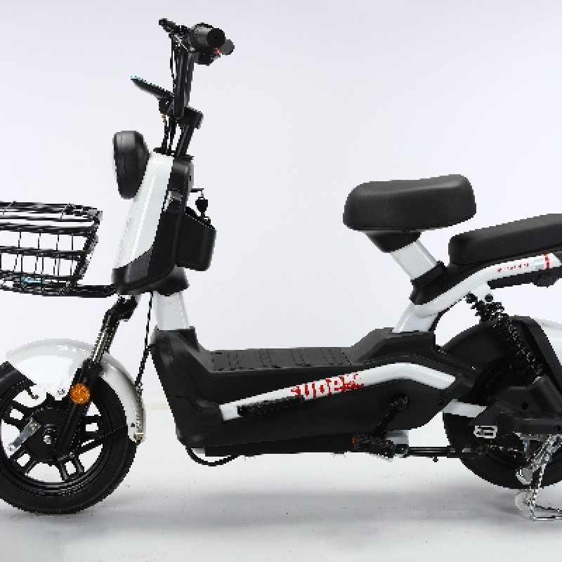 Electric Tricycle Factory - Closed Cargo Shed Load