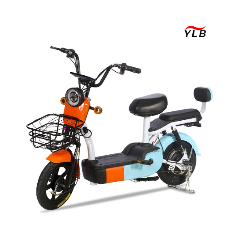 Electric City Bike Manufacturer - 48V Hub Motor Steel Frame