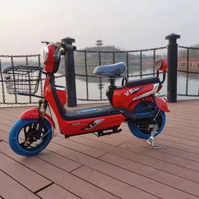 Electric Bicycle Manufacturer - Two Person Self-propelled
