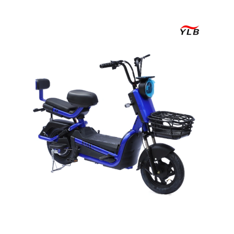 Electric Folding Bike Factory - 1000W Fat Tire Adult