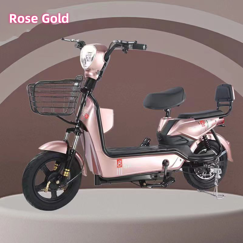 Electric Bike Manufacturer - 350W 2 Seats Big Basket