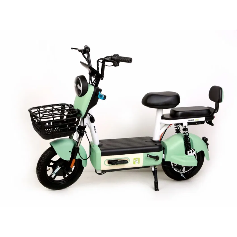 Electric Bicycle Manufacturer - New Design Motor