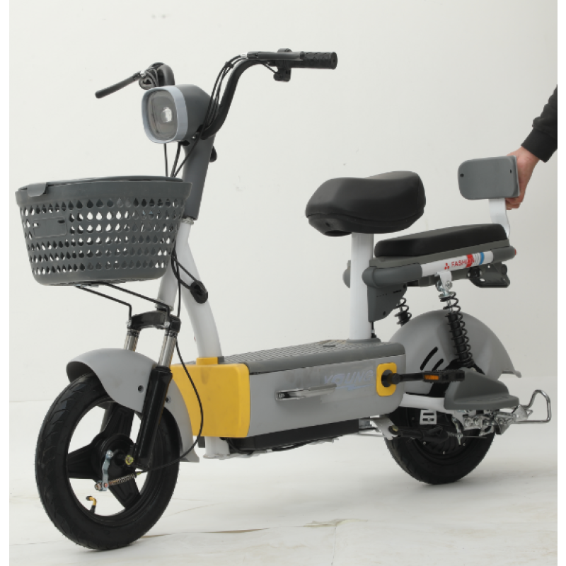 Electric Scooter Factory - 48V China Made Adult