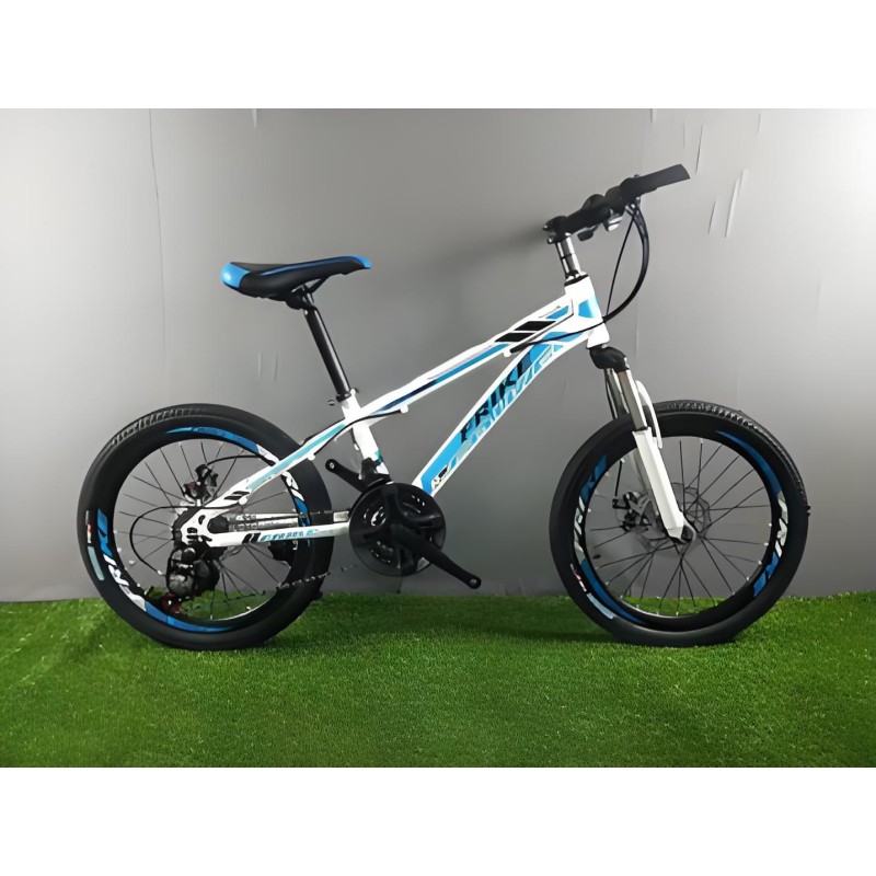 Electric Mountain Bike Manufacturer - 26 Inch Fat Tyre